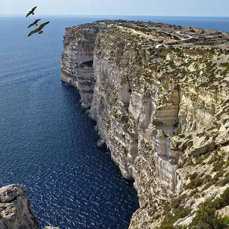 Apartament Flatlet With Pool - Free Parking And Wifi