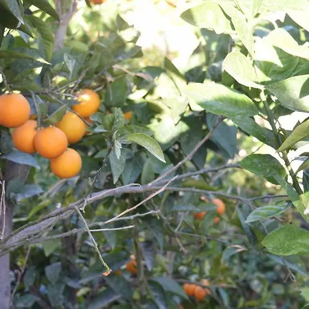 Flatlet With Pool - Free Parking And Wifi * Lija